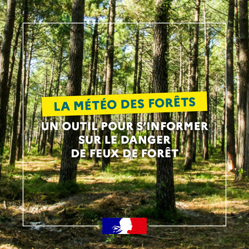 1080x1080-Meteo des forets-1