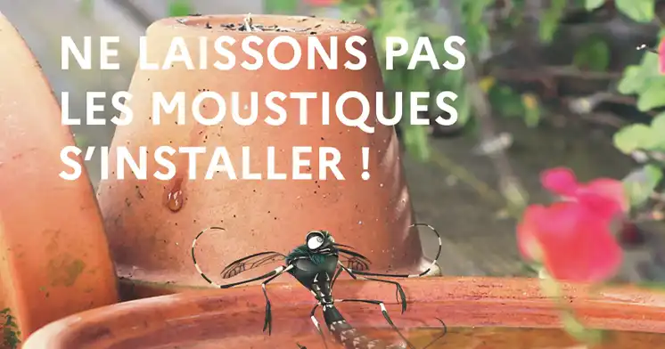 Les bons gestes pour lutter contre les moustiques vecteurs de maladies