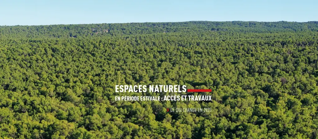 Prévention incendie : nouvel arrêté préfectoral sur l’accès aux massifs forestiers et la réalisation de travaux