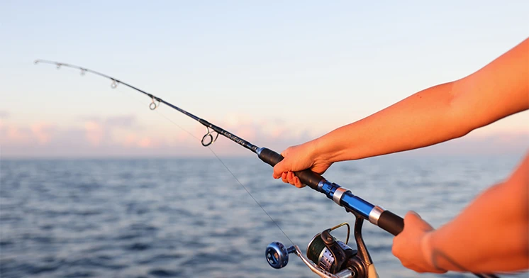 Interdiction temporaire de la pêche et de la consommation du poisson issu de la pêche